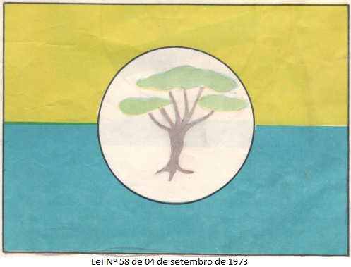 Bandeira de Mata Roma - MA